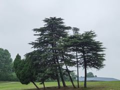 -钟山体育运动公园