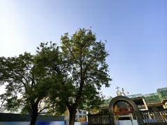 -王府井天主教堂