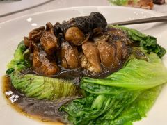 -金河半岛园林酒家(金融城店)