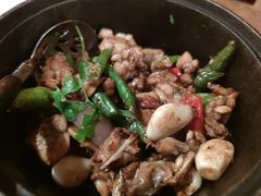 啫啫美蛙-铁公鸡·四川料理(天环广场店)