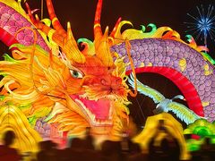 -武汉园博园(武汉自然博物馆)