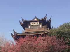 -范蠡湖公园