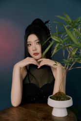 -WAVE SODA摄影工作室