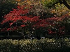 -萧山德纳MAX影城