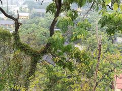 -桂林独秀峰王城景区