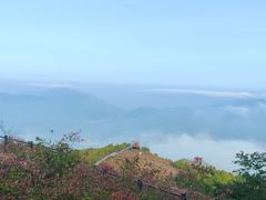 -瑞安圣井山景区