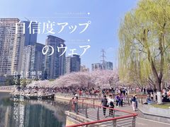 -西北湖绿化广场