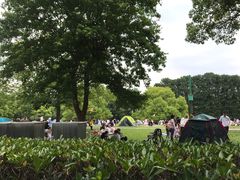 -共青国家森林公园-售票处