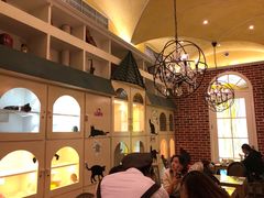 -猫小院猫主题咖啡厅(北锣店)