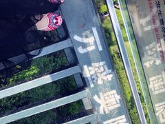 -梦幻奥陶纪景区