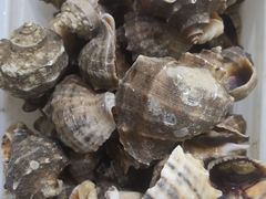 -宾朋海鲜特色美食餐厅·纯手工鲅鱼水饺(兴海路店)