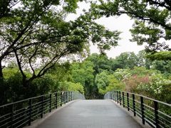 -尚贤河湿地