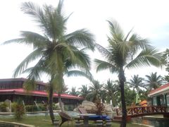 南中国大酒店-南中国大酒店