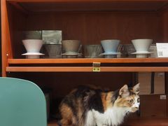 -玫瑰咖啡(中山六路店)