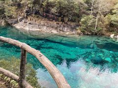 -石台牯牛降景区