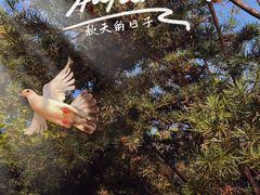 -八大山人梅湖景区