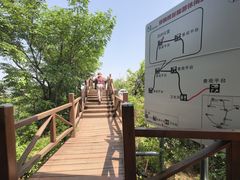 -大岭沟猕猴桃谷风景区