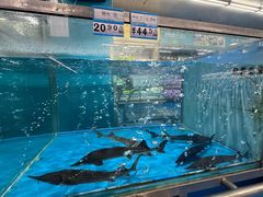 -麦德龙(闵行店)