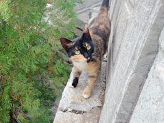 -青州市云门山风景区