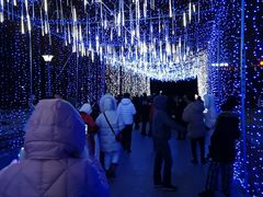 -长春公园(普阳街道)