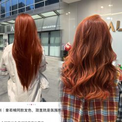 点击看大图 -KS COLOUR漂色·染发·画染