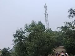 -紫金山山顶公园