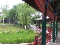 -西海子公园