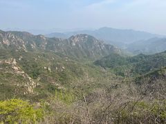 -大岭沟猕猴桃谷风景区