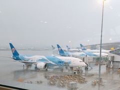 -广州白云国际机场-T2航站楼