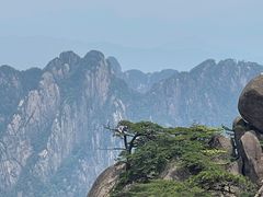-黄山风景区