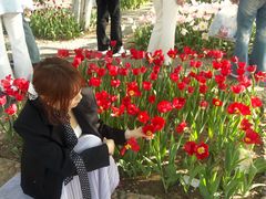 -石家庄市植物园