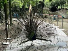 -宁波野生动物园