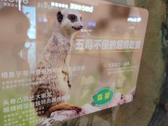 -屋虎猫馆(宝安大仟里店)