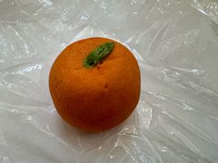 -北京稻香村(零号店)