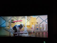 -幸福蓝海国际影城(烟台大悦城IMAX店)