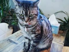 -小时光咖啡馆(北锣鼓巷店)