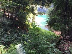 -广州市流溪河国家森林公园