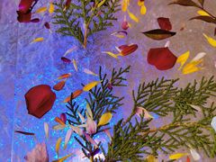 -九献创意菜·牛排馆(亮马河花园店)
