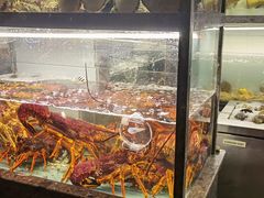 -甄御•海鲜新青岛菜(麦岛店)