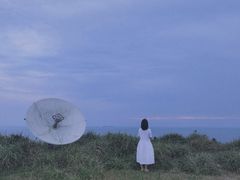 -枸杞岛