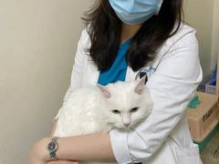 -美联众合动物医院·24h转诊中心