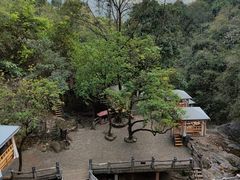 -天门沟九州驿站树上汤泉