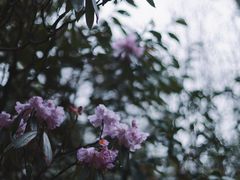 -龙苍沟森林公园
