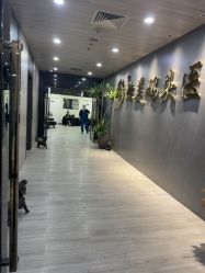 -北京炫美医疗美容