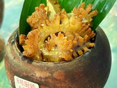 -浩海火燒雲傣家菜(芮欧百货店)