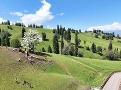-新疆那拉提国家旅游度假区