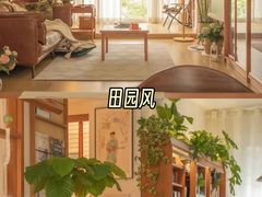 -大树装饰·十年本土家装