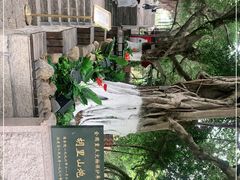 -胡里山炮台