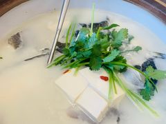 -宝荣鱼馆·临湖之宴(千岛湖店)