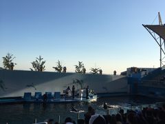 -秦皇岛新澳海底世界